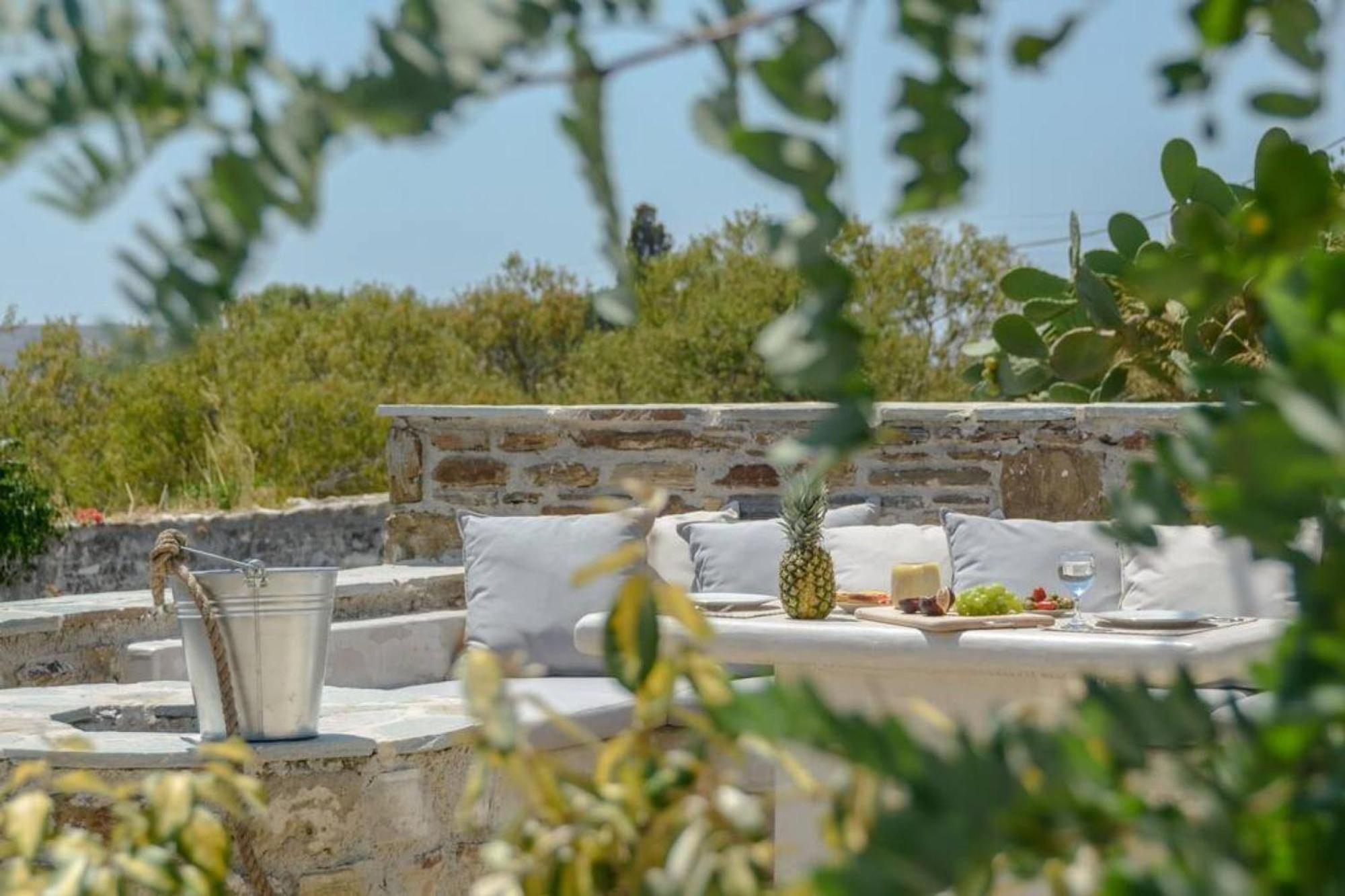 Villa Anthemion Naxos With Outdoor Jacuzzi Ano Sangrion 외부 사진